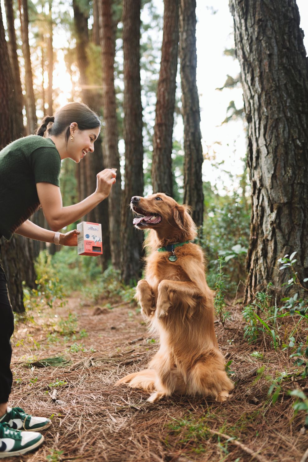 Banner de The Hungry Dog